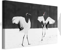 Artgeist Paveikslas - Dancing Cranes (1 Part) Wide
