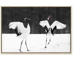 Artgeist Paveikslas - Dancing Cranes (1 Part) Wide
