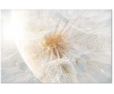 Artgeist Paveikslas - Dandelion in the Sun (1 Part) Wide