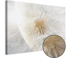 Artgeist Paveikslas - Dandelion in the Sun (1 Part) Wide
