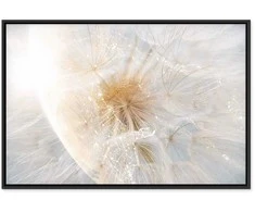 Artgeist Paveikslas - Dandelion in the Sun (1 Part) Wide