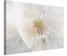 Artgeist Paveikslas - Dandelion in the Sun (1 Part) Wide