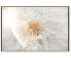 Artgeist Paveikslas - Dandelion in the Sun (1 Part) Wide