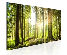 Artgeist Paveikslas - Daylight