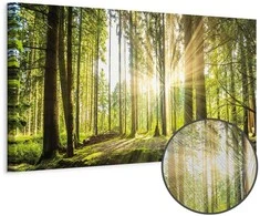 Artgeist Paveikslas - Daylight