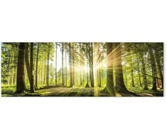Artgeist Paveikslas - Daylight