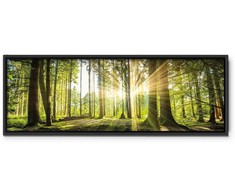 Artgeist Paveikslas - Daylight