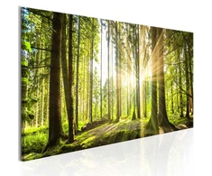 Artgeist Paveikslas - Daylight