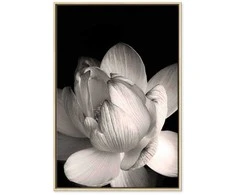 Artgeist Paveikslas - Delicacy of Petals in Nature (1-part) - Flower in Juodas and Baltas