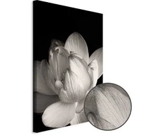 Artgeist Paveikslas - Delicacy of Petals in Nature (1-part) - Flower in Juodas and Baltas