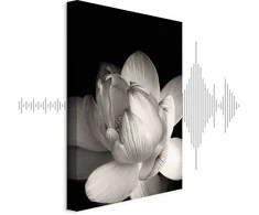 Artgeist Paveikslas - Delicacy of Petals in Nature (1-part) - Flower in Juodas and Baltas