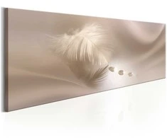Artgeist Paveikslas - Delicate Feather