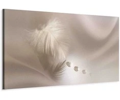 Artgeist Paveikslas - Delicate Feather