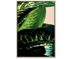 Artgeist Paveikslas - Dieffenbachia (1 Part) Vertical