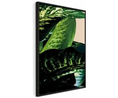 Artgeist Paveikslas - Dieffenbachia (1 Part) Vertical