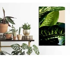 Artgeist Paveikslas - Dieffenbachia (1 Part) Vertical