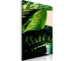 Artgeist Paveikslas - Dieffenbachia (1 Part) Vertical