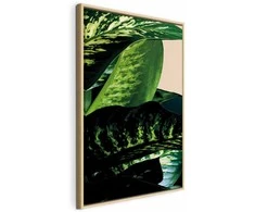 Artgeist Paveikslas - Dieffenbachia (1 Part) Vertical