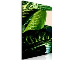 Artgeist Paveikslas - Dieffenbachia (1 Part) Vertical