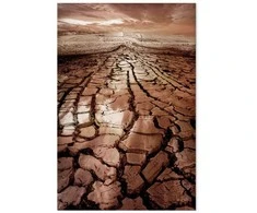 Artgeist Paveikslas - Drought (1 Part) Vertical