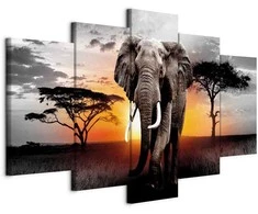 Artgeist Paveikslas - Elephant at Sunset