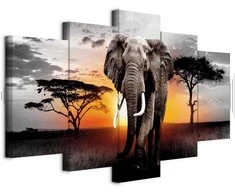 Artgeist Paveikslas - Elephant at Sunset