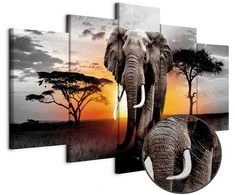 Artgeist Paveikslas - Elephant at Sunset