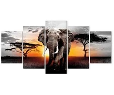Artgeist Paveikslas - Elephant at Sunset