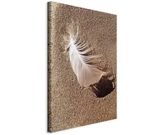 Artgeist Paveikslas - Feather on the Sand (1 Part) Vertical
