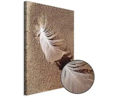 Artgeist Paveikslas - Feather on the Sand (1 Part) Vertical
