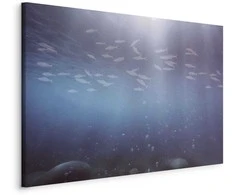 Artgeist Paveikslas - Fish in the depths