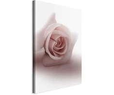 Artgeist Paveikslas - Floral Glamour Glow (1-part) - Delicate and Pastel Rožinė Rose