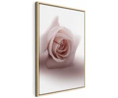 Artgeist Paveikslas - Floral Glamour Glow (1-part) - Delicate and Pastel Rožinė Rose