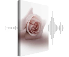 Artgeist Paveikslas - Floral Glamour Glow (1-part) - Delicate and Pastel Rožinė Rose