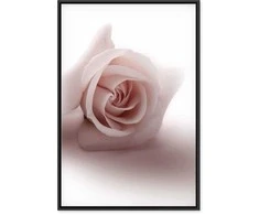 Artgeist Paveikslas - Floral Glamour Glow (1-part) - Delicate and Pastel Rožinė Rose