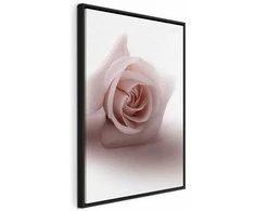 Artgeist Paveikslas - Floral Glamour Glow (1-part) - Delicate and Pastel Rožinė Rose