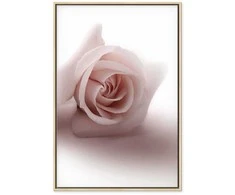 Artgeist Paveikslas - Floral Glamour Glow (1-part) - Delicate and Pastel Rožinė Rose