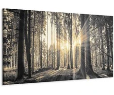 Artgeist Paveikslas - Forest Sun