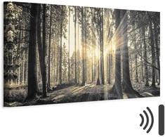 Artgeist Paveikslas - Forest Sun