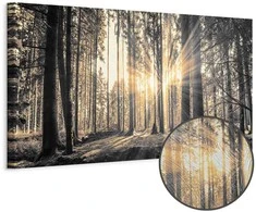 Artgeist Paveikslas - Forest Sun