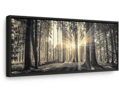 Artgeist Paveikslas - Forest Sun