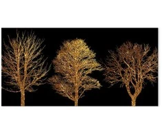 Artgeist Paveikslas - Golden Forest (1 Part) Wide