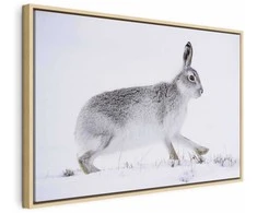 Artgeist Paveikslas - Hare (1 Part) Wide