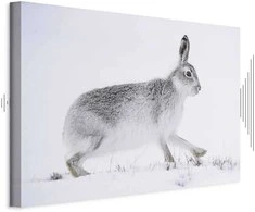 Artgeist Paveikslas - Hare (1 Part) Wide