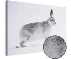 Artgeist Paveikslas - Hare (1 Part) Wide