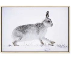 Artgeist Paveikslas - Hare (1 Part) Wide