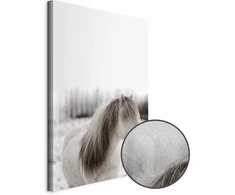 Artgeist Paveikslas - Horse Mane (1 Part) Vertical