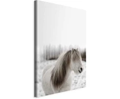 Artgeist Paveikslas - Horse Mane (1 Part) Vertical