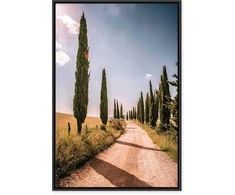 Artgeist Paveikslas - Italian cypresses (1 Part) Vertical