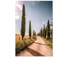 Artgeist Paveikslas - Italian cypresses (1 Part) Vertical